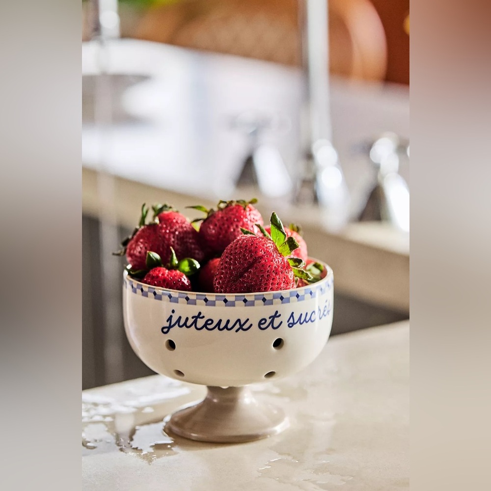 ANTHROPOLOGIE NWT cafe violette hand painted stoneware berry bowl -blue